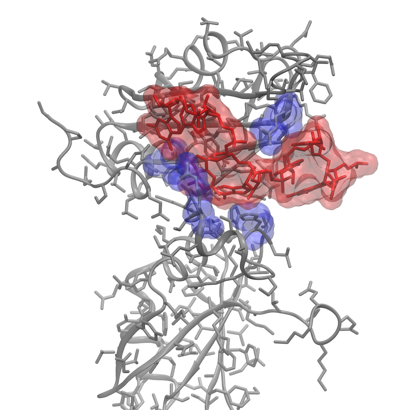 Picture of a biomolecular condensate